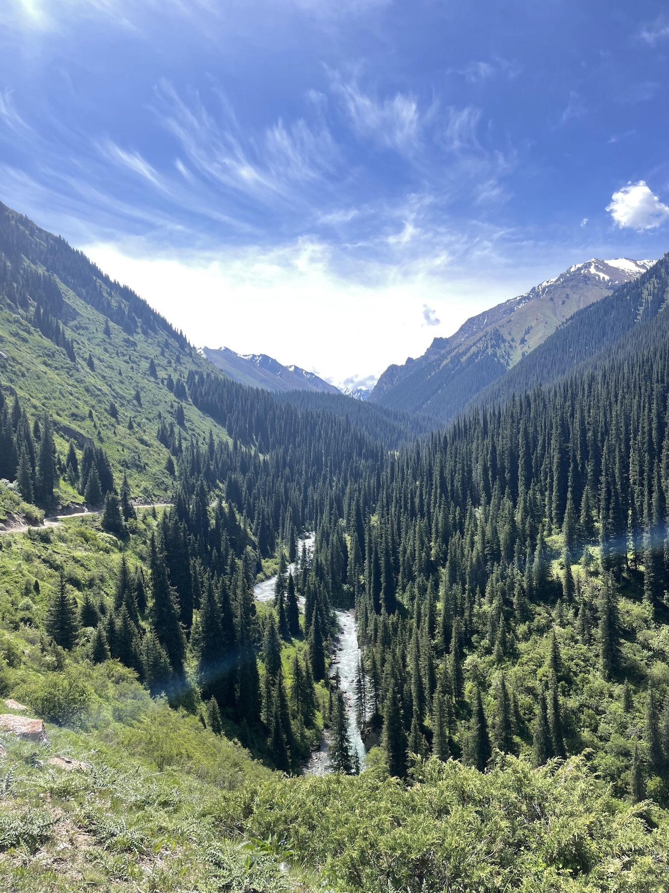 sans cadre