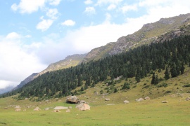 Pentes occidentales de la gorge