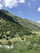 Route vers les gorges d'Alamedin