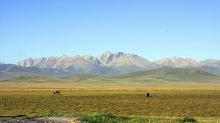 Beauté des montagnes locales