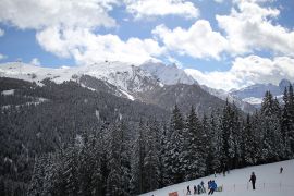 Sapinées le long des pistes