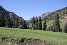 Dans la vallée