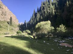 Forêts d'épicéas de la gorge