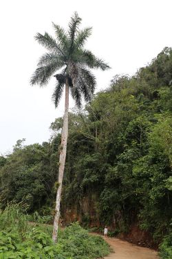 Sur le chemin de la cascade