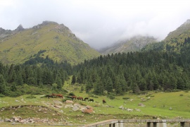Pentes de montagne près de l'entrée de la gorge