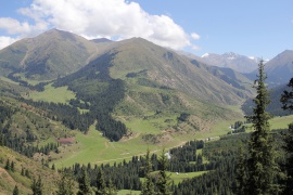 Vue générale de la gorge