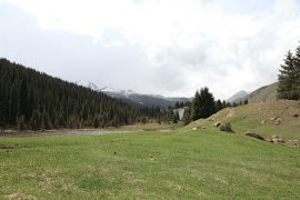 Nature de Grigorievsky Gorge