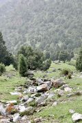 Nature des gorges